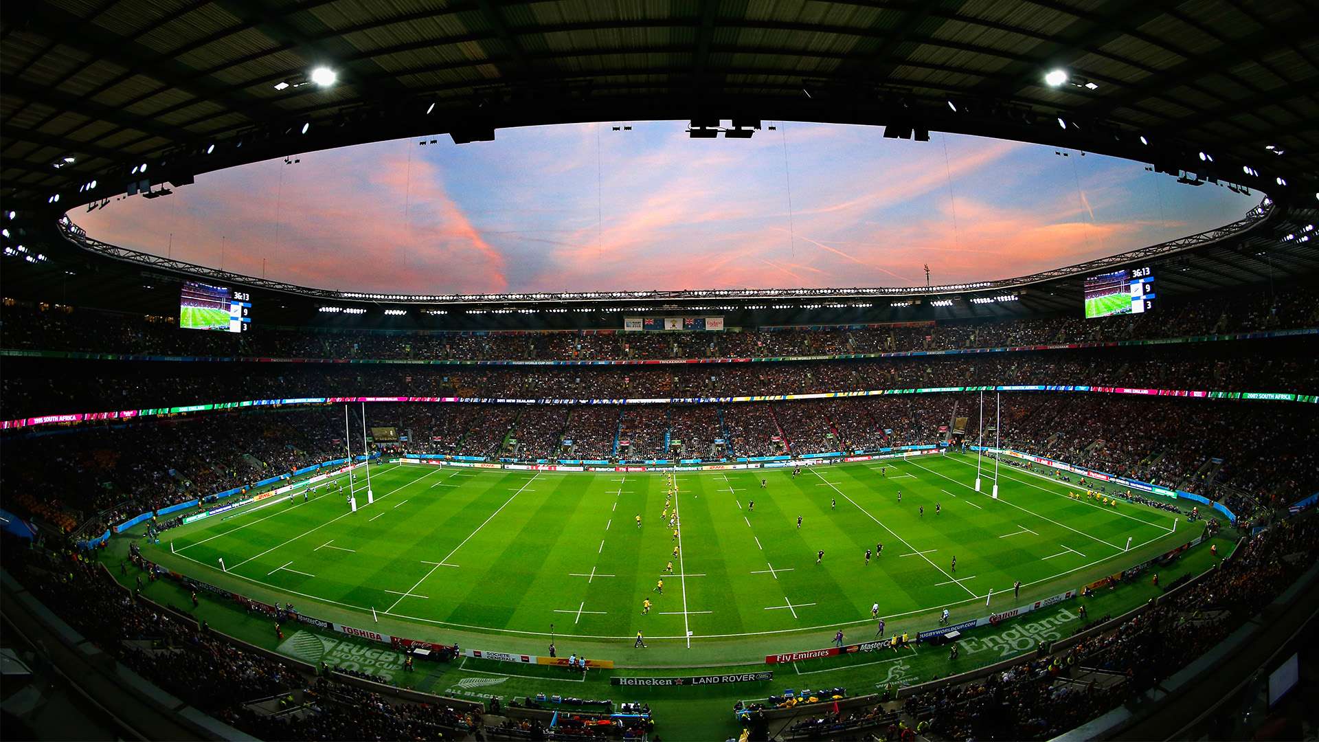 我们看到了 我们看到了